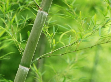 1631065863156708.jpg image.jpg