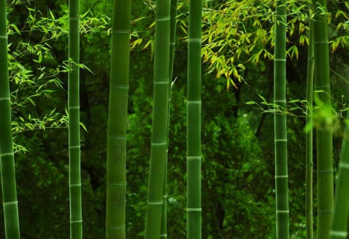 1631065877551500.jpg image.jpg