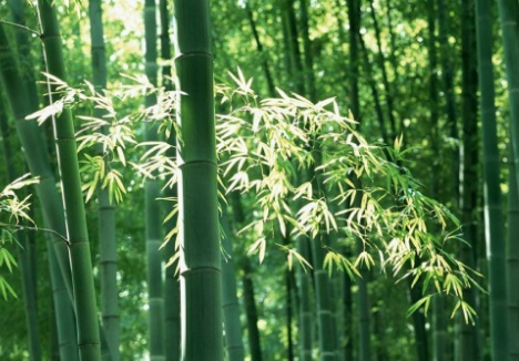 1631065890359359.jpg image.jpg