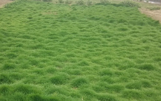 1631068245403144.jpg image.jpg