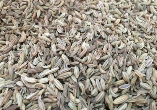 1631081492302274.jpg image.jpg