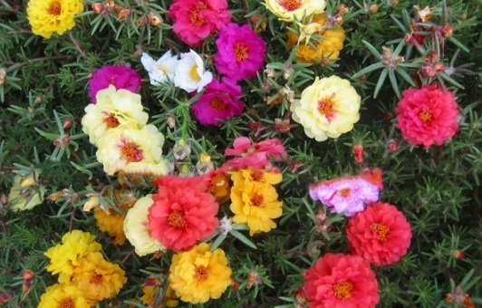 1631081991995229.jpg image.jpg