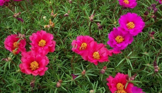 1631082001165512.jpg image.jpg