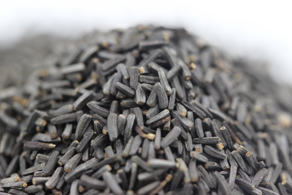 黑心菊種子 黑心菊種子