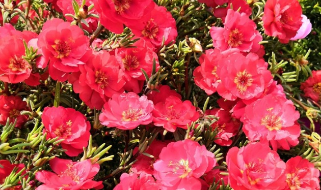 1631084834339128.jpg image.jpg