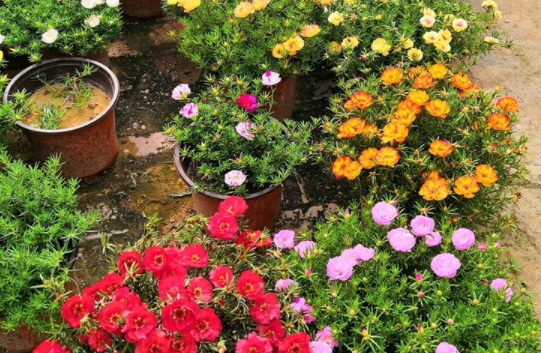 1631087039159970.jpg image.jpg