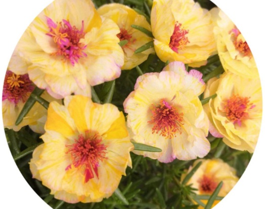 1631087056957070.jpg image.jpg