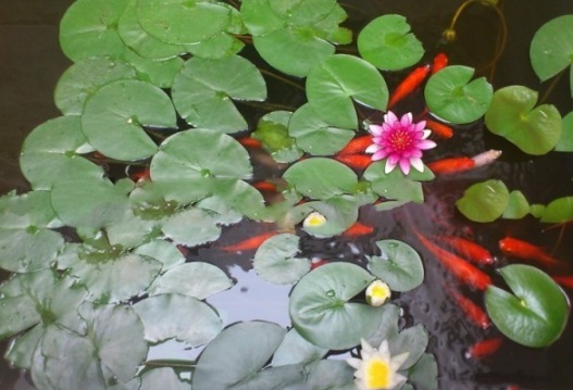 1631087302502430.jpg image.jpg