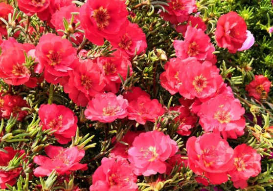 1631087606287634.jpg image.jpg