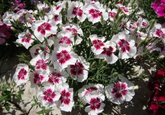 1631087942163961.jpg image.jpg