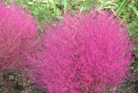 1631088081564139.jpg image.jpg