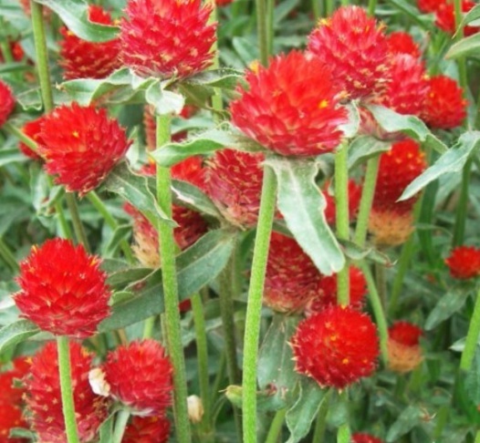 1631089087915610.jpg image.jpg