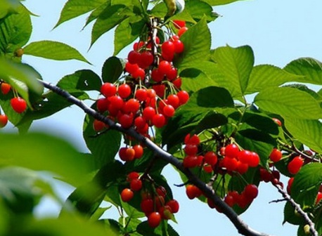 1631112439248101.jpg image.jpg