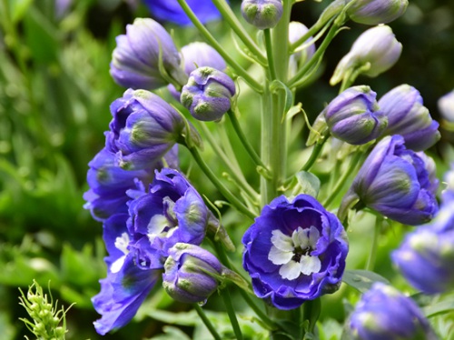 1631112777153231.jpg 1631112777153231.jpg