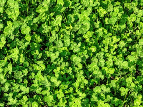 1631113264449341.jpg image.jpg