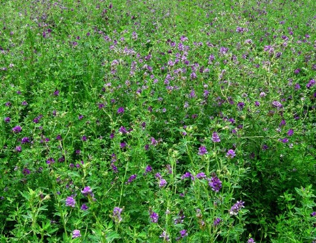 1631113272944867.jpg 1631113272944867.jpg