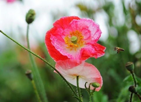 1631113980532500.jpg 1631113980532500.jpg