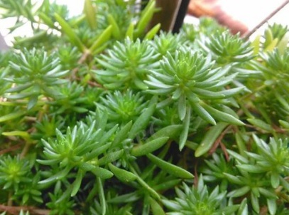 1631114962789015.jpg 1631114962789015.jpg