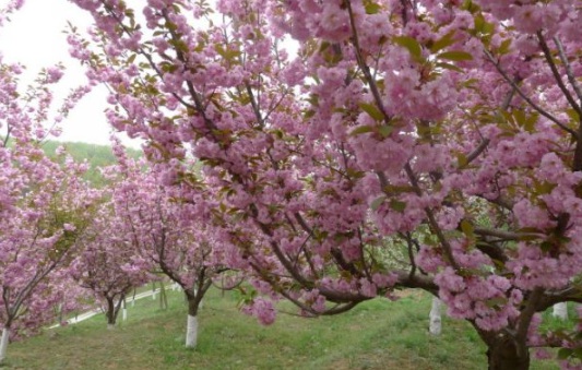 1631158774490256.jpg image.jpg