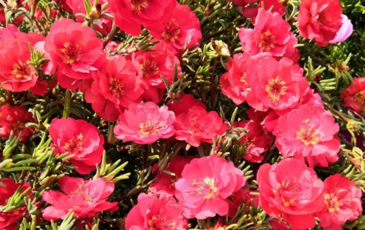 1631158838711853.jpg image.jpg