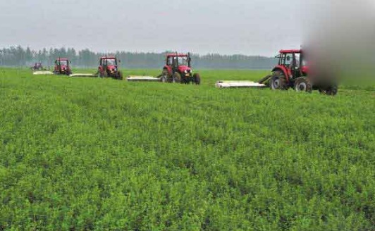 1631160416416823.jpg image.jpg