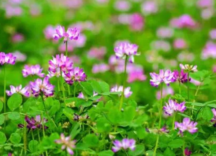 1631167492271811.jpg 1631167492271811.jpg