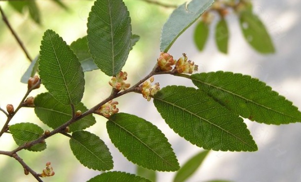 1631169410164713.jpg 1631169410164713.jpg