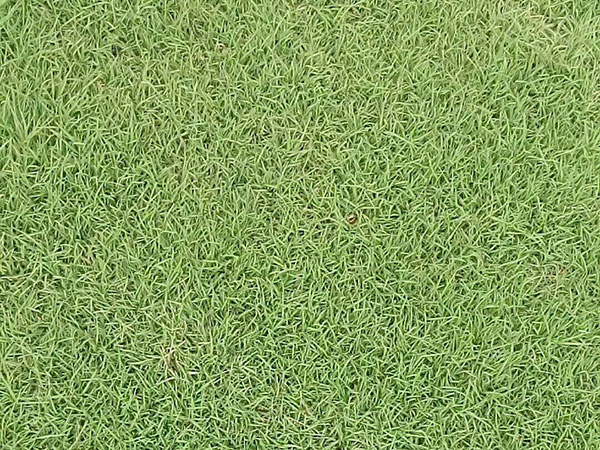 ????2-è??è????a??????