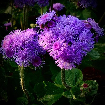 1631185815594400.jpg 1631185815594400.jpg