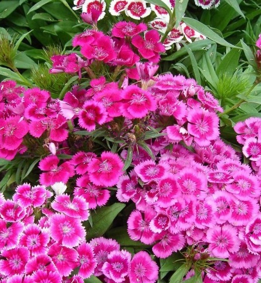 1631188362381560.jpg 1631188362381560.jpg