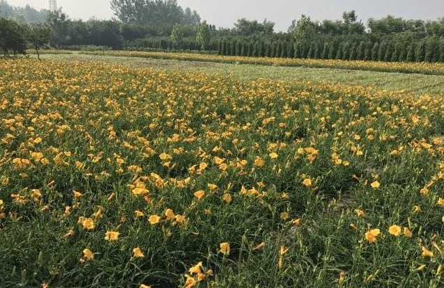 1631193686259070.jpg blob.jpg