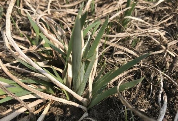 1631193726184086.jpg blob.jpg