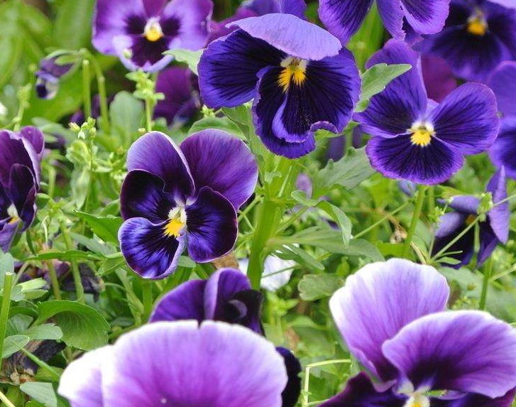 1631275106816300.jpg 1631275106816300.jpg