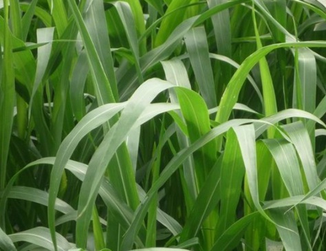 1631423388104262.jpg 1631423388104262.jpg