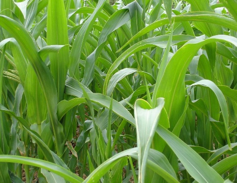 1631423398501963.jpg 1631423398501963.jpg