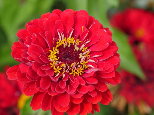 1631434323263080.jpg image.jpg