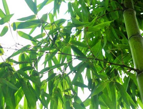 1631435426730645.jpg 1631435426730645.jpg