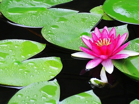 1631436009548771.jpg 1631436009548771.jpg