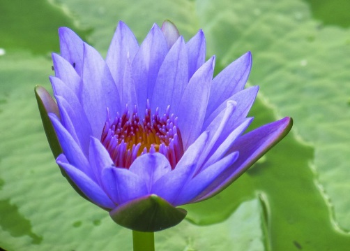 1631436018634079.jpg 1631436018634079.jpg