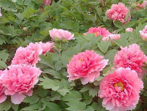 1631437687511363.jpg 1631437687511363.jpg