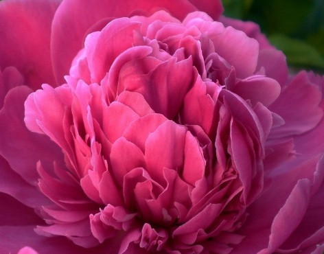 1631437709542088.jpg 1631437709542088.jpg