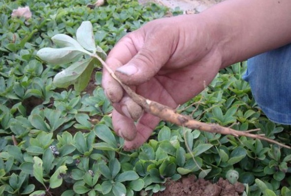 1631438569891936.jpg image.jpg