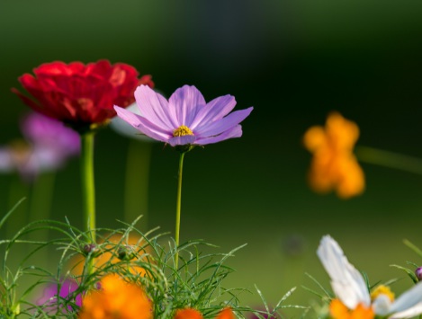 1631442167496908.jpg 1631442167496908.jpg