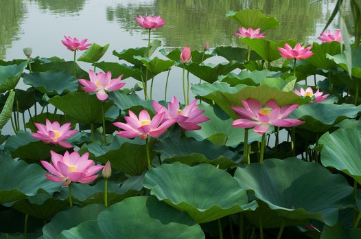 1631442375615254.jpg 1631442375615254.jpg