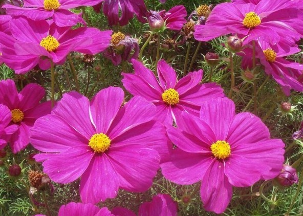 1631448898736678.jpg 1631448898736678.jpg