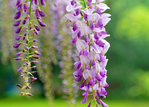 1631452813906527.jpg 1631452813906527.jpg