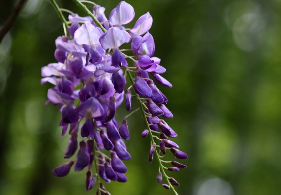 1631452825616501.jpg 1631452825616501.jpg