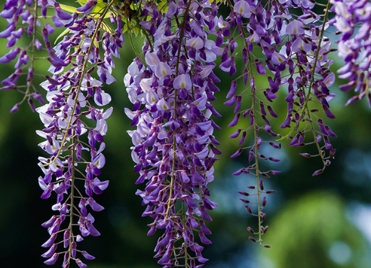 1631452845450699.jpg 1631452845450699.jpg