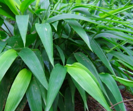 1631453019830733.jpg 1631453019830733.jpg