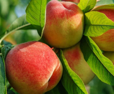 1631453370324871.jpg 1631453370324871.jpg